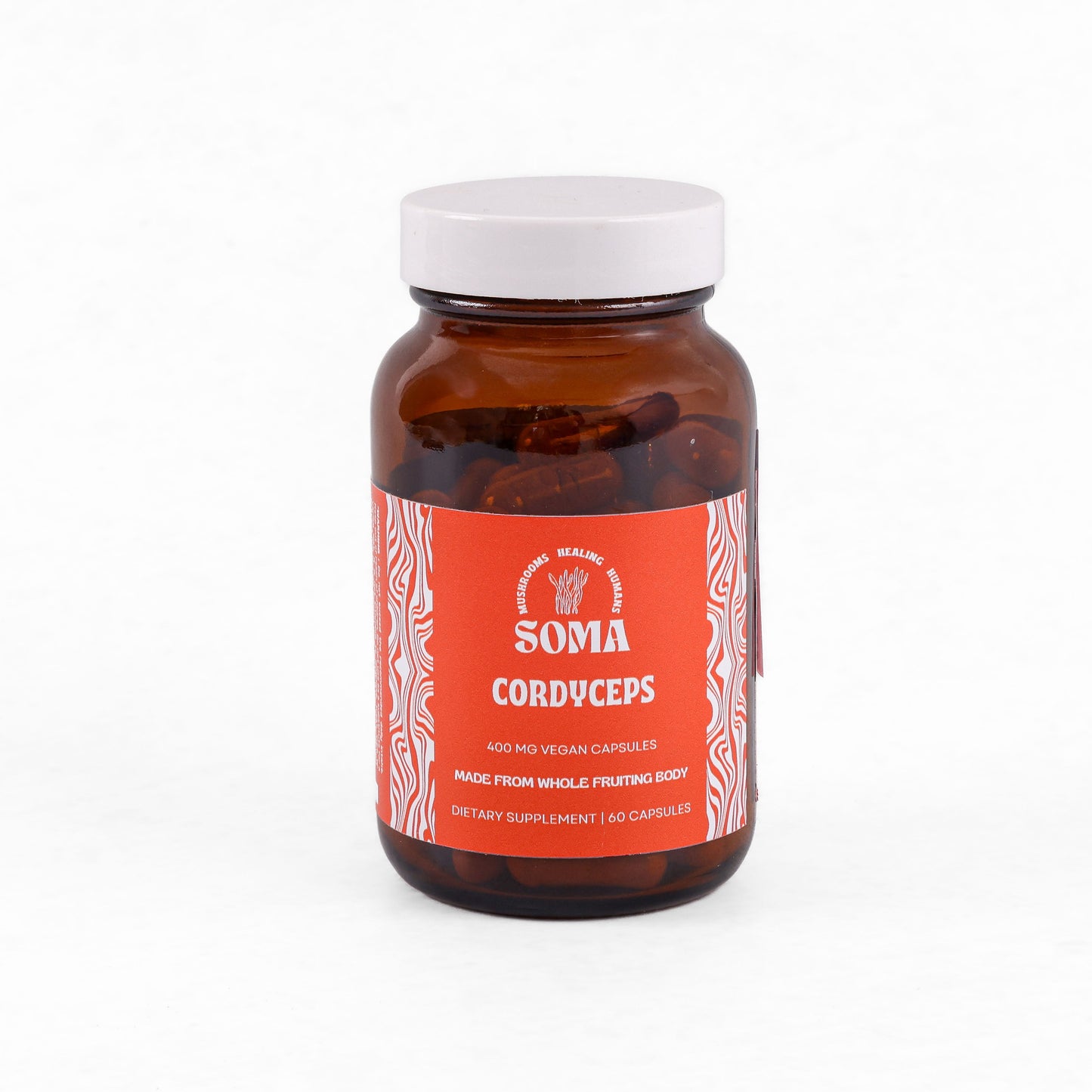 Cordyceps capsules